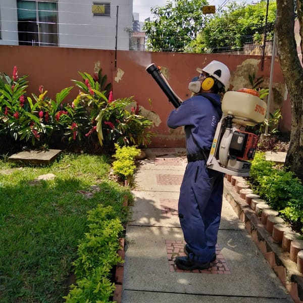 Control de Plagas Residencial