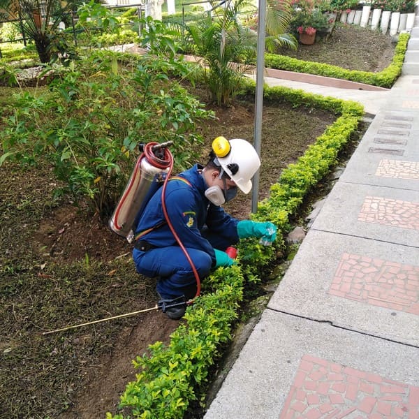 Control de Plagas Residencial